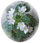 Optimara Little Jewel Crystal