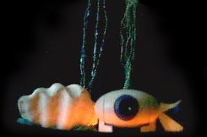 Swam over to say 'hello'.